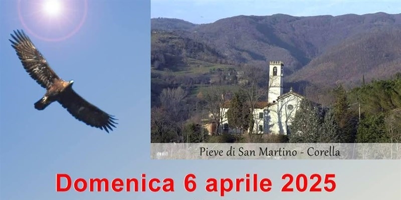 Assemblea pubblica a Corella: “L’alternativa all’eolico industriale c’è. M’illumino col Sole”