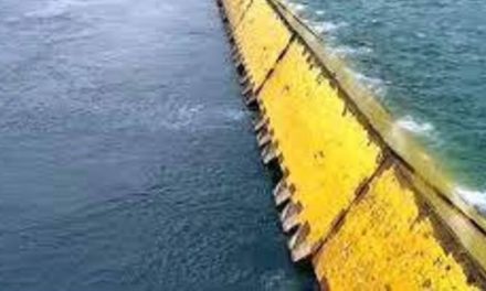 Il buongiorno di Ok!News24. Oggi, 29 aprile 2025