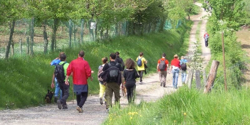 Magnalonga del primo maggio 2025. Trekking, enogastronomia e solidarietà a Vicchio