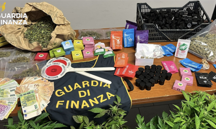 Operazione “Ice”. Sequestrata piantagione di Marijuana a Montelupo Fiorentino