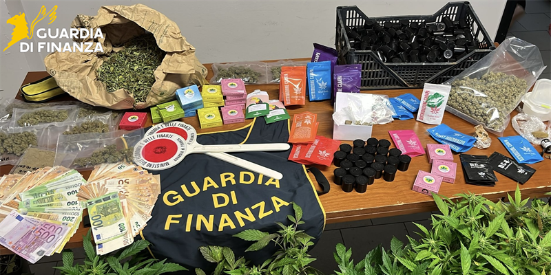 Operazione “Ice”. Sequestrata piantagione di Marijuana a Montelupo Fiorentino