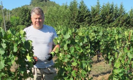 Il Pinot Nero “Rossano” di Cortevecchia è il migliore della Toscana