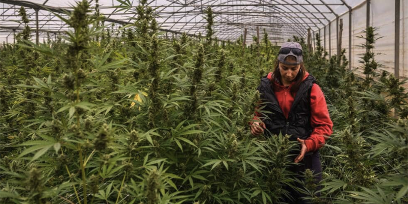 Rifondazione Comunista – DDL Sicurezza alla Camera. Una legge liberticida che va fermata 