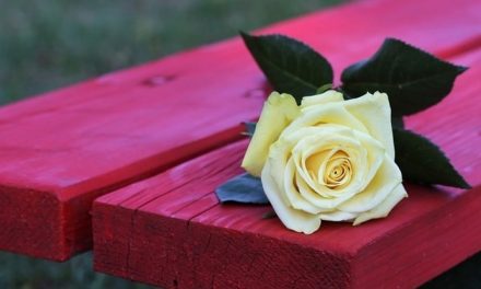 Una panchina rossa alla CO.ME.SCA per dire no alla violenza di genere