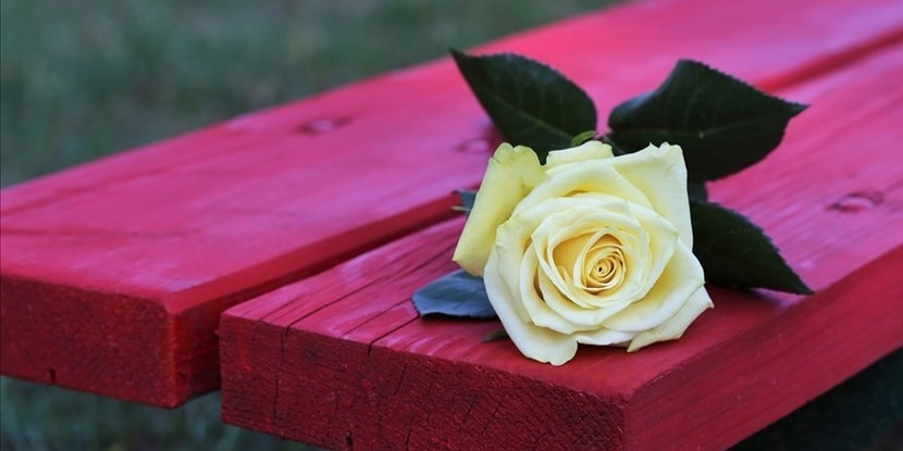 Una panchina rossa alla CO.ME.SCA per dire no alla violenza di genere