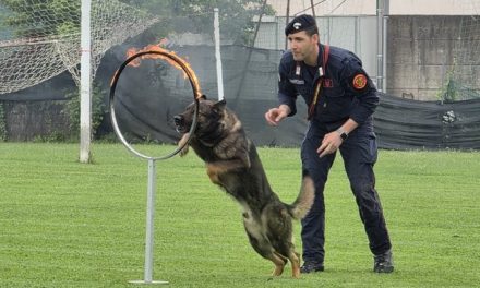 Unità cinofile dei Carabinieri in azione: allo Stadio Romanelli una lezione di legalità per gli studenti (video)