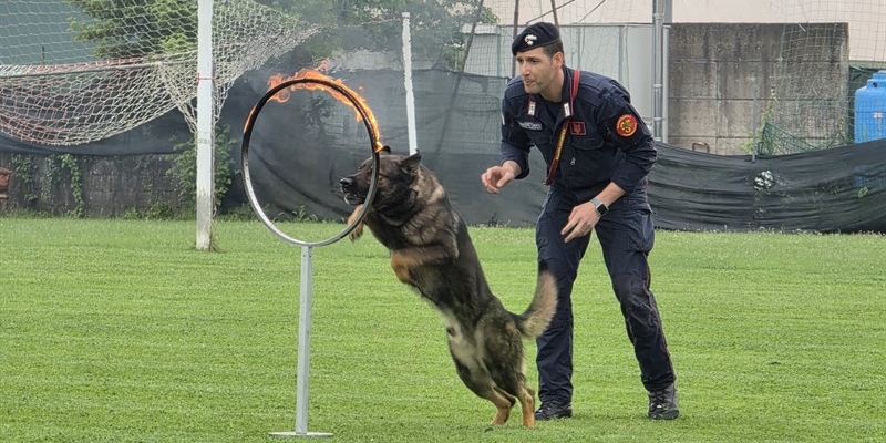 Unità cinofile dei Carabinieri in azione: allo Stadio Romanelli una lezione di legalità per gli studenti (video)