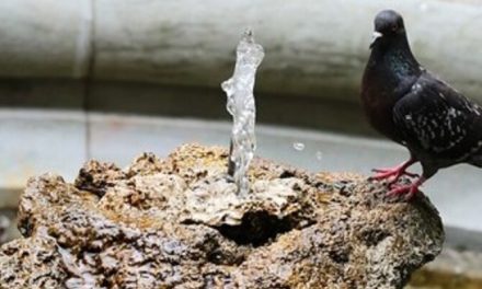 Cambiamento climatico. Online il Rapporto sul clima del XXI secolo