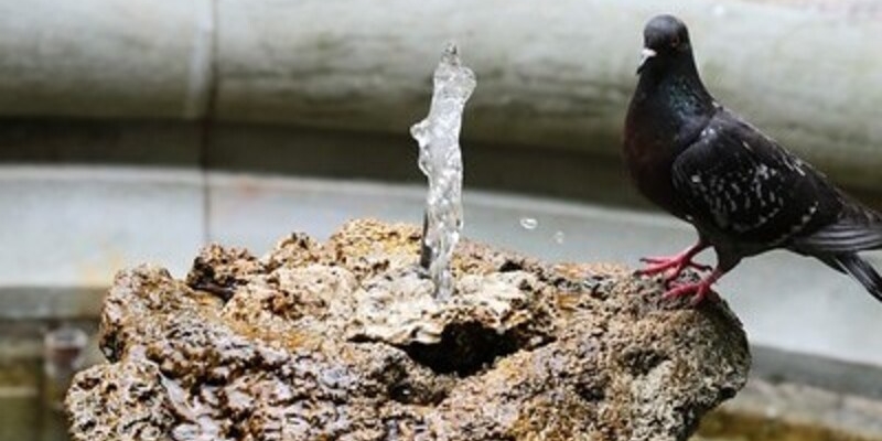 Cambiamento climatico. Online il Rapporto sul clima del XXI secolo