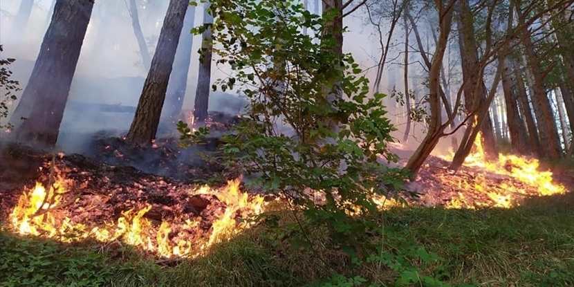 Incendi boschivi, allerta anticipata in Toscana: dal 21 giugno scatta il divieto di accensione fuochi