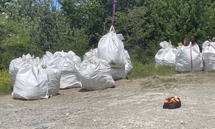 Rovigo e Santerno, “Puliamo il Mondo” chiama i cittadini: sabato 5 luglio giornata ecologica lungo le sponde colpite dalla frana