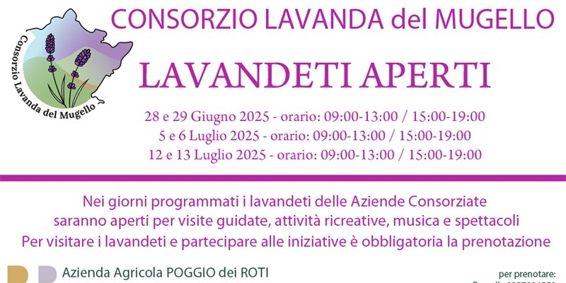 Weekend tra i profumi e i colori della Lavanda. Tornano le passeggiate nei campi del Mugello