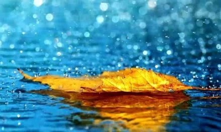 Allerta meteo in Toscana. Codice giallo attivo da lunedì 7 luglio 2025 per maltempo e rischi connessi