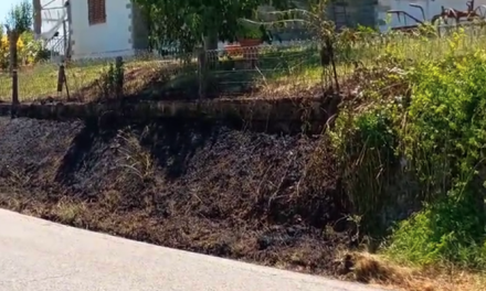 Incendio a bordo strada a Panicaglia: fiamme a ridosso di un’abitazione, residenti chiedono maggiore manutenzione e sicurezza