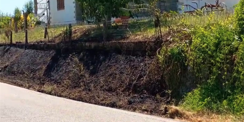 Incendio a bordo strada a Panicaglia: fiamme a ridosso di un’abitazione, residenti chiedono maggiore manutenzione e sicurezza