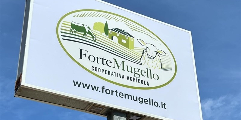 La cooperativa “Fortemugello” in liquidazione giudiziale. Attività produttiva in continuità e prospettive di rilancio