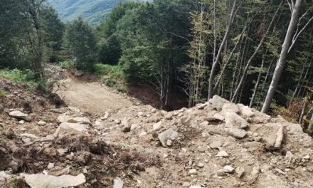 Normale confronto civile…?! – L’associazione di volontariato Idra commenta il caso del ‘blitz al parco eolico’ in Mugello