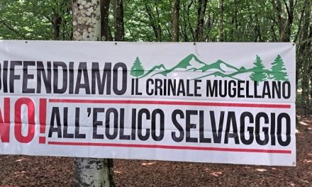 Solstizio d’estate sui crinali: alla Fiera dei Poggi un inno alla natura contro l’eolico industriale