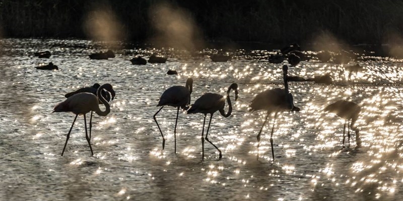 Una nuova vita per l’Oasi di Gabbianello