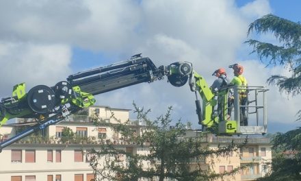 Borgo San Lorenzo. Messo in sicurezza anche il cedro in via Leonardo da Vinci