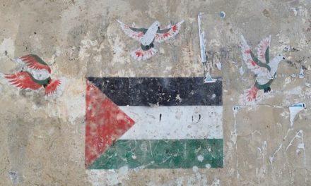 Fa discutere l’esposizione della bandiera della Palestina sui municipi, le dichiarazioni di Claudio Gemelli.