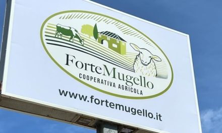 Fortemugello (ex Forteto), asta telematica il 3 ottobre per Serra e Bottega