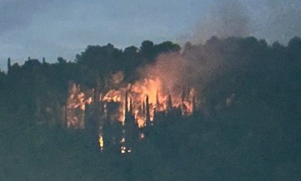 Incendio a Vincigliata, fiamme in un bosco nel comune di Fiesole: difficili le operazioni di spegnimento