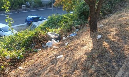 Mozione del centrodestra a Barberino. Rifiuti e cinghiali, chiesti più controlli e sicurezza