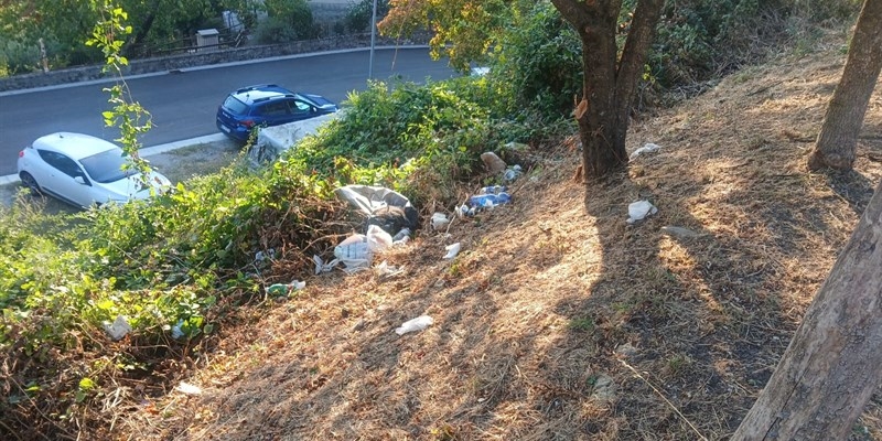 Mozione del centrodestra a Barberino. Rifiuti e cinghiali, chiesti più controlli e sicurezza