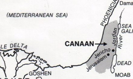 Appello per la memoria di Gaza: la voce degli archivisti italiani