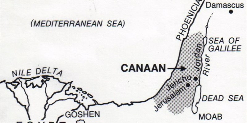 Appello per la memoria di Gaza: la voce degli archivisti italiani