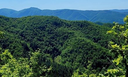 L’Appennino al centro del dibattito. A San Godenzo il convegno contro l’industrializzazione eolica