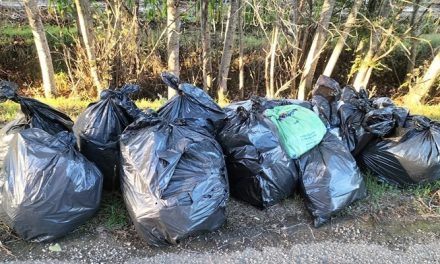 Scarperia e San Piero, volontari recuperano 11 sacchi abbandonati e segnalano il responsabile ad Alia e Polizia Municipale