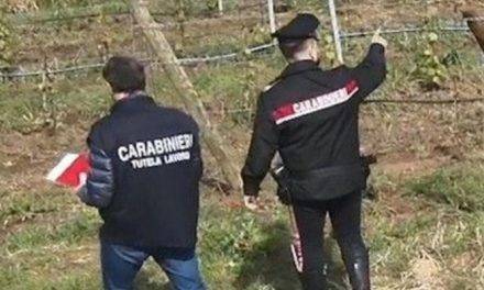Controlli dei carabinieri nel settore agricolo. Emerse irregolarità e lavoro nero nella provincia di Firenze