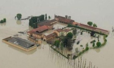 Il buongiorno di Ok!News24. Oggi, 17 ottobre 2025