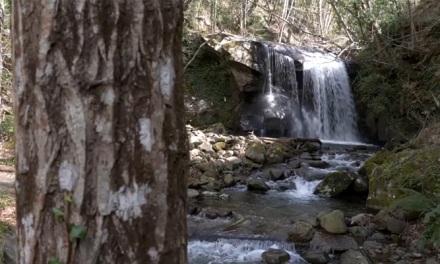 Al via il bando 2025 “I Cammini dell’Acqua”: 100 mila euro per valorizzare i territori legati all’acqua