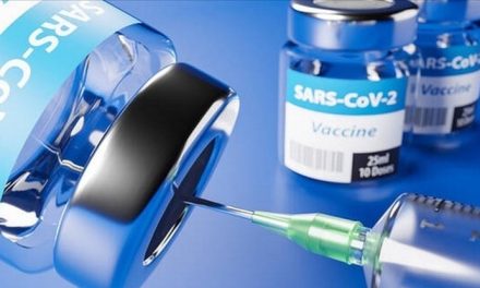 Il buongiorno di Ok!News24. oggi, 11 dicembre 2025