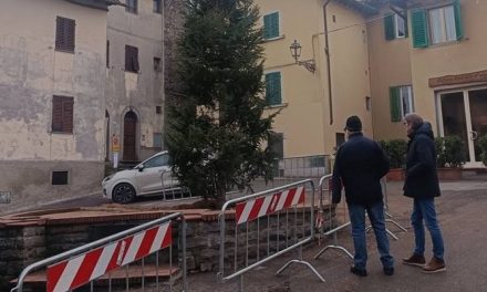 Nuovo albero in Piazza del Poggio a Borgo San Lorenzo: al posto del cedro arriva un abete, almeno per il Natale