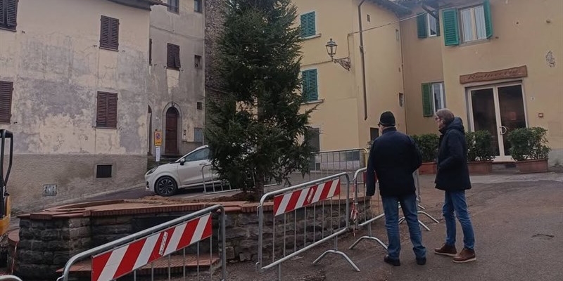 Nuovo albero in Piazza del Poggio a Borgo San Lorenzo: al posto del cedro arriva un abete, almeno per il Natale